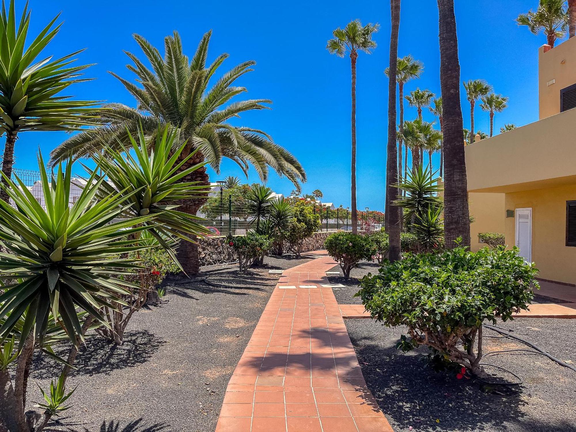 Apartamentos Oasis Royal Corralejo F314 Exteriör bild