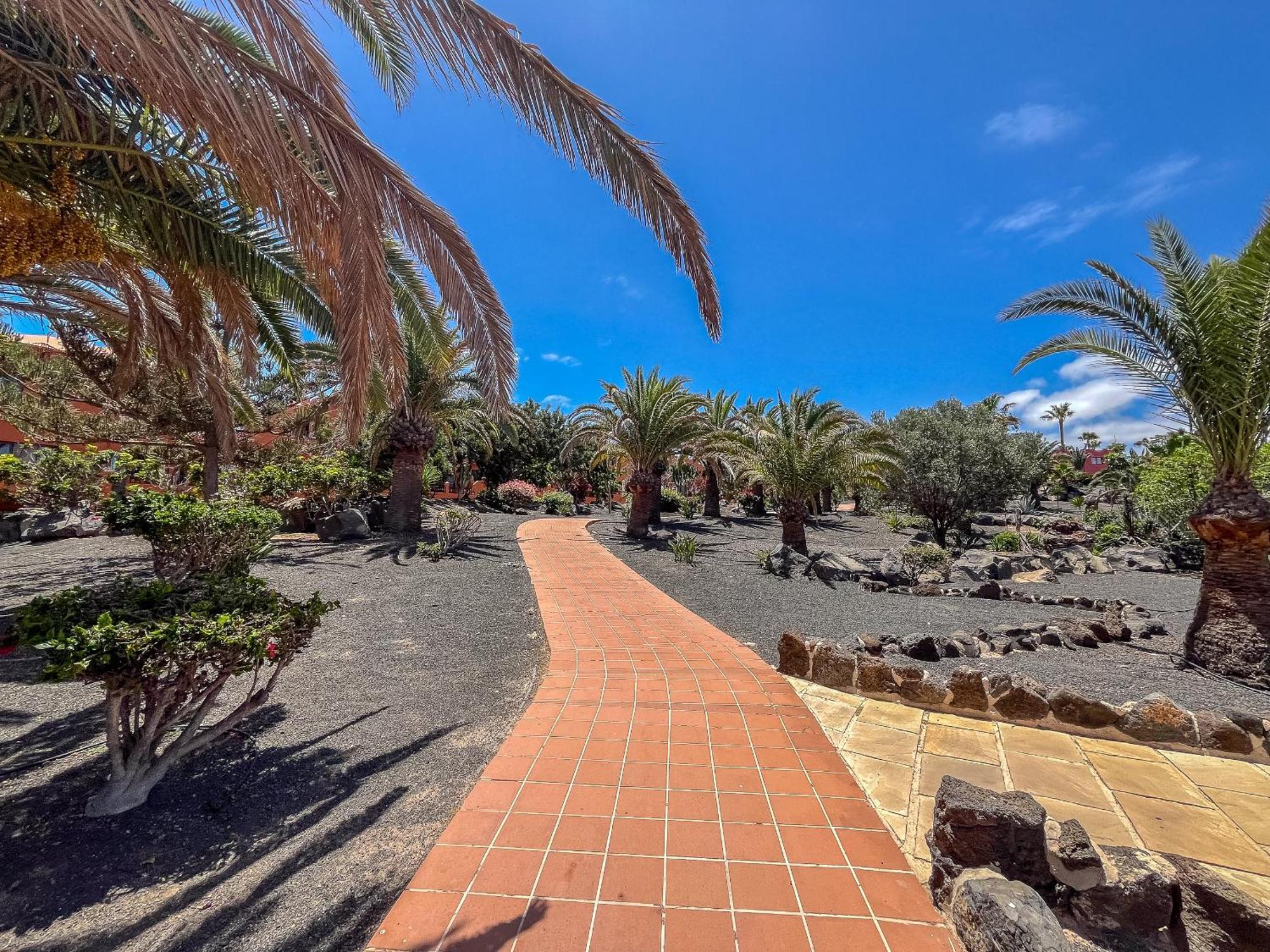 Apartamentos Oasis Royal Corralejo F314 Exteriör bild