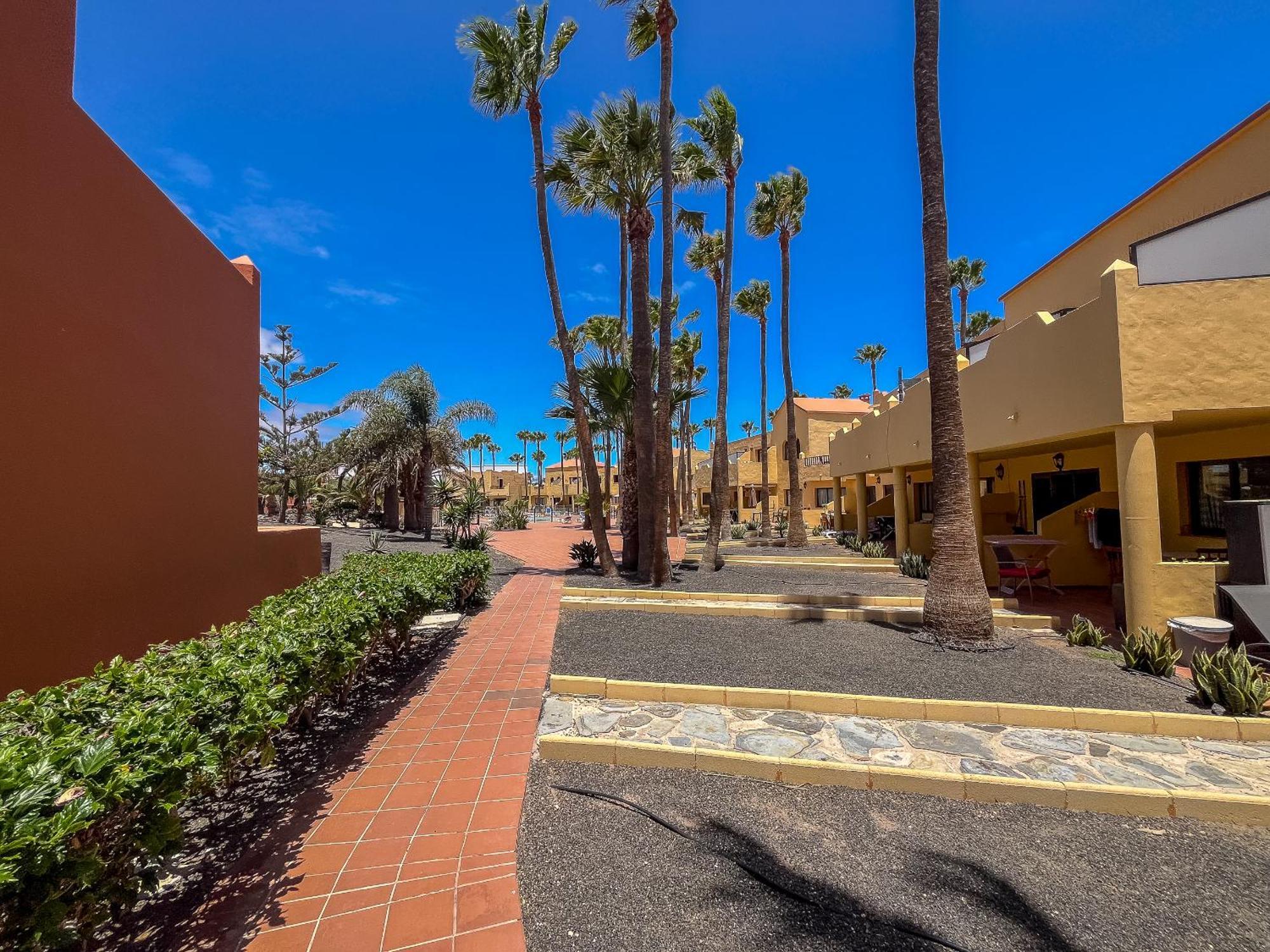 Apartamentos Oasis Royal Corralejo F314 Exteriör bild
