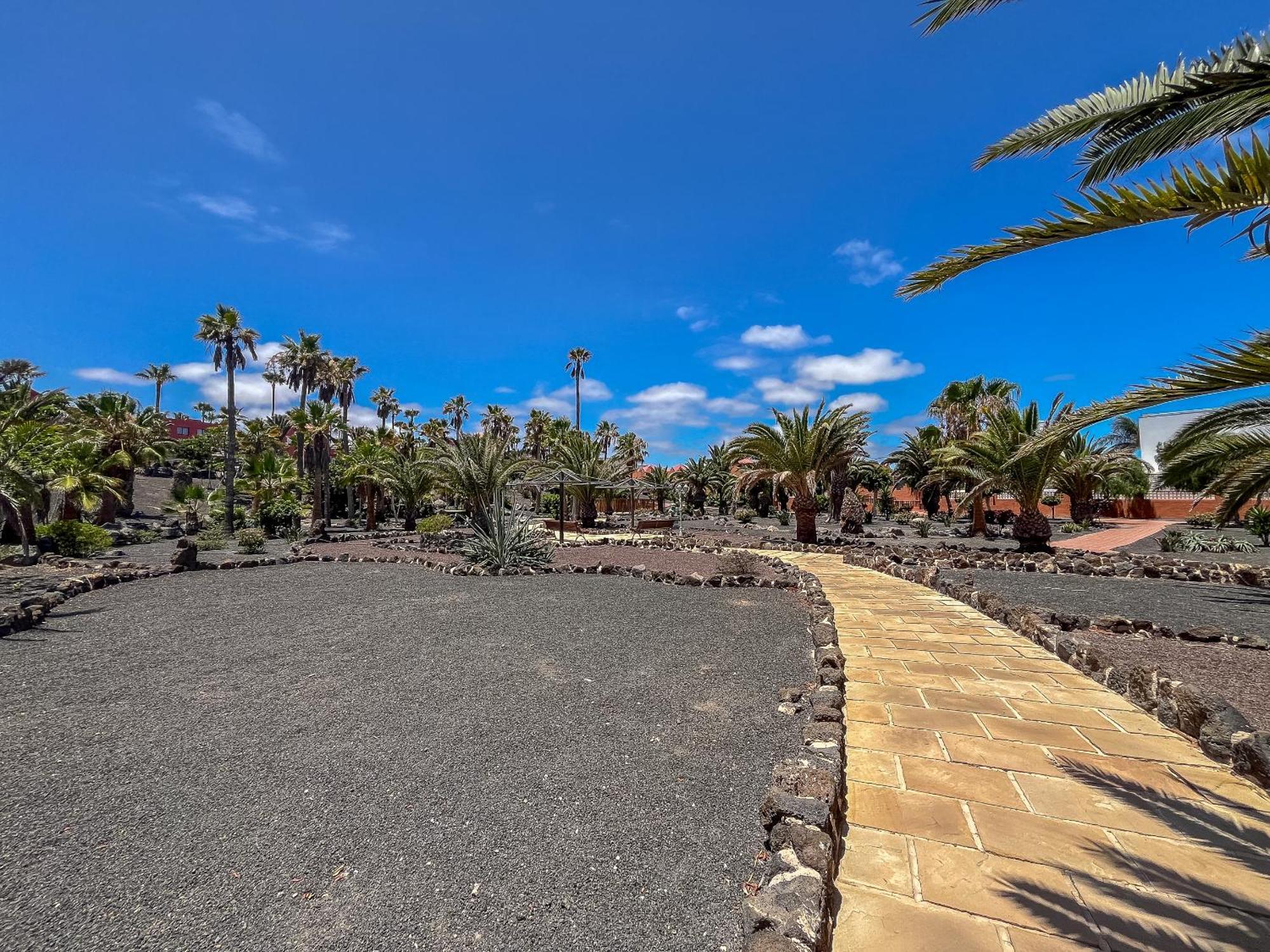 Apartamentos Oasis Royal Corralejo F314 Exteriör bild