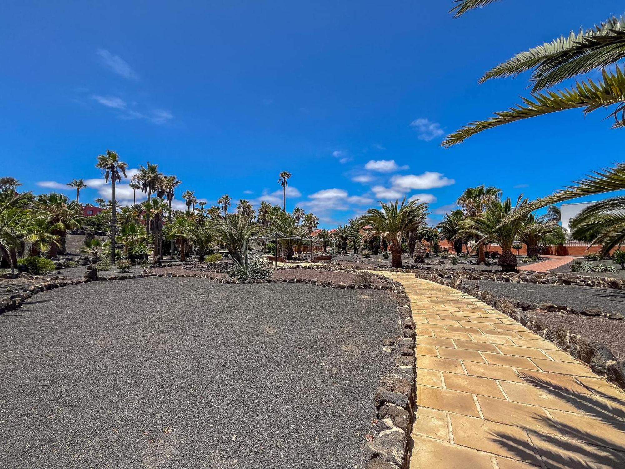 Apartamentos Oasis Royal Corralejo F314 Exteriör bild